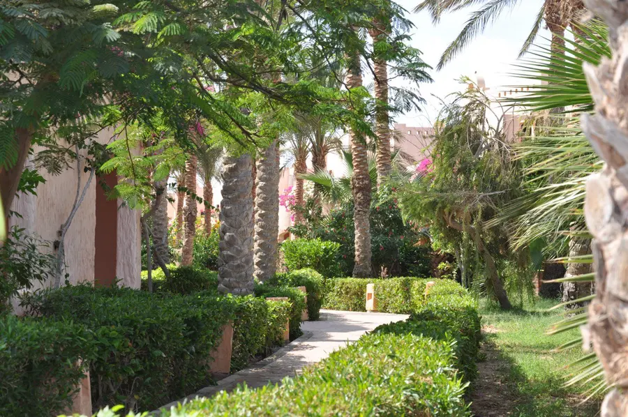 Green resort garden close to the KiteMood kite centre in Marsa Alam